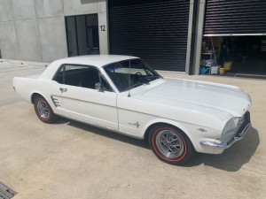 66 mustang (1)