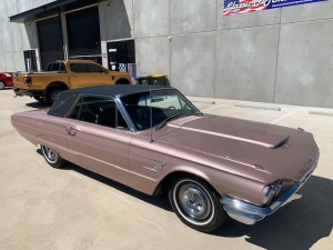 65 TBIRD PINK (2)