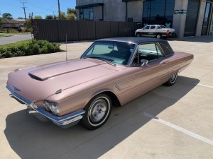 65 TBIRD PINK (4)