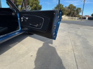 65 mustang blue (20)