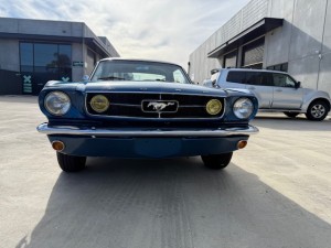 65 mustang blue (9)